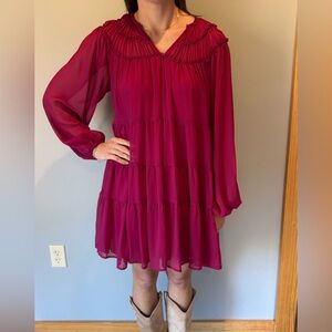 Entro Burgundy Sheer Dress with Built in Slip